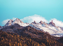 九游娱乐-多位冬奥冠军领衔 中国体育代表团成立大会今日举行